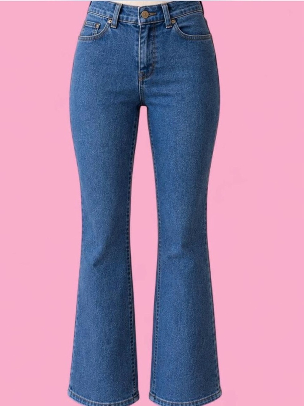 Vintage Paul & Joe Flare Jeans – Women’s Size 28